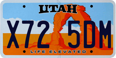 UT license plate X725DM
