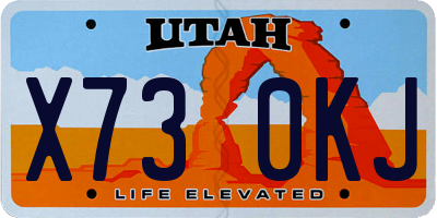 UT license plate X730KJ