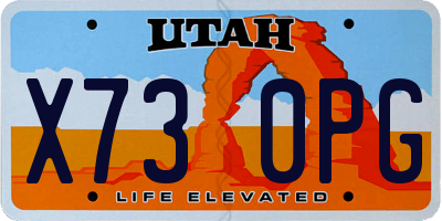 UT license plate X730PG