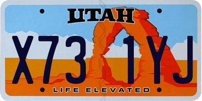 UT license plate X731YJ
