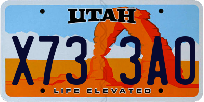 UT license plate X733AO
