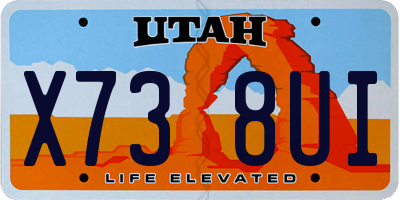 UT license plate X738UI