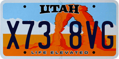 UT license plate X738VG