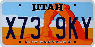 UT license plate X739KY