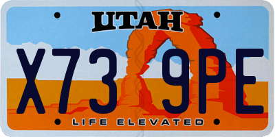 UT license plate X739PE