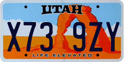 UT license plate X739ZY
