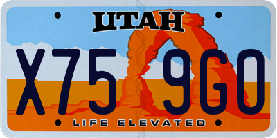 UT license plate X759GO