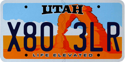 UT license plate X803LR