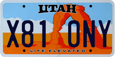 UT license plate X810NY