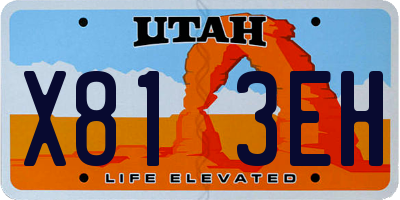 UT license plate X813EH