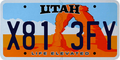 UT license plate X813FY