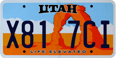 UT license plate X817CI