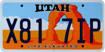 UT license plate X817IP