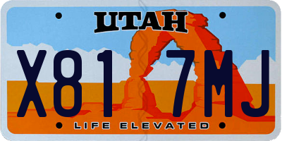 UT license plate X817MJ