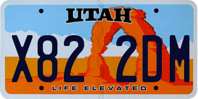 UT license plate X822DM