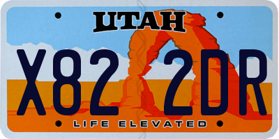 UT license plate X822DR