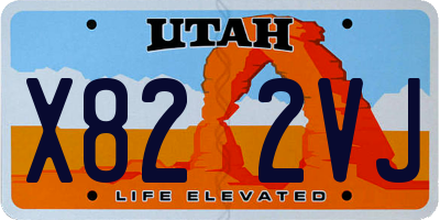 UT license plate X822VJ