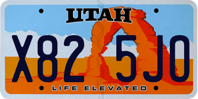 UT license plate X825JO