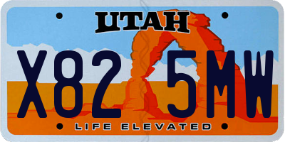 UT license plate X825MW