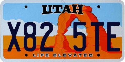 UT license plate X825TE