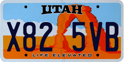 UT license plate X825VB