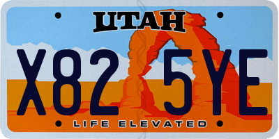 UT license plate X825YE