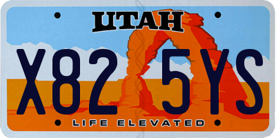 UT license plate X825YS