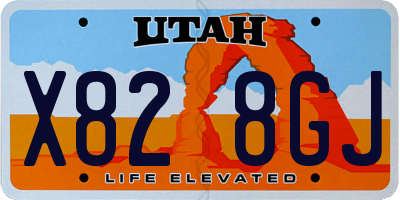 UT license plate X828GJ