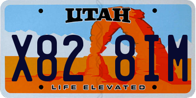 UT license plate X828IM