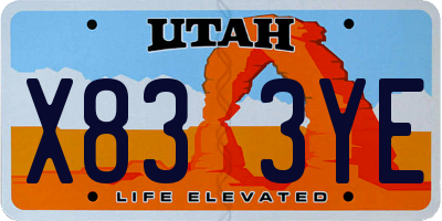 UT license plate X833YE