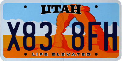 UT license plate X838FH