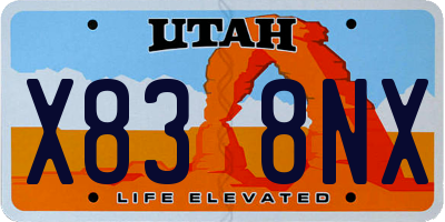 UT license plate X838NX