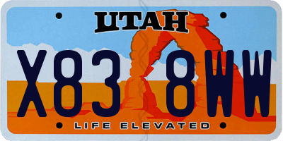 UT license plate X838WW