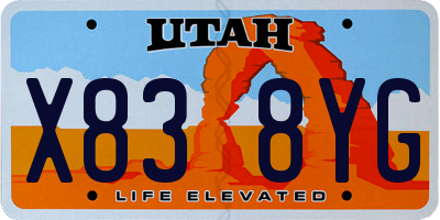 UT license plate X838YG