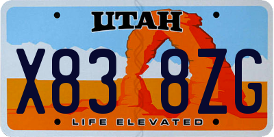 UT license plate X838ZG