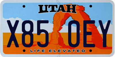 UT license plate X850EY