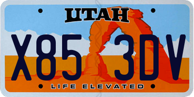 UT license plate X853DV