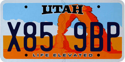 UT license plate X859BP