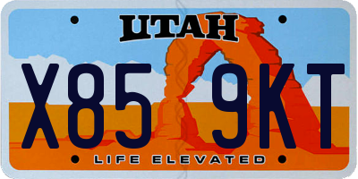 UT license plate X859KT