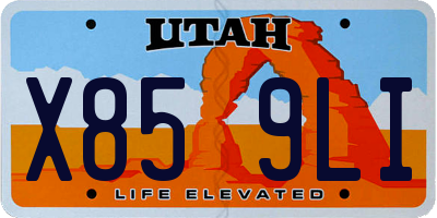 UT license plate X859LI