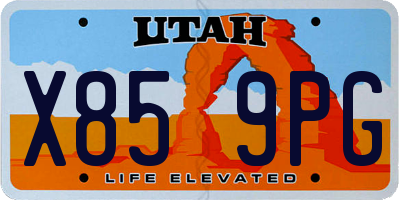 UT license plate X859PG