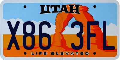 UT license plate X863FL