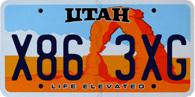 UT license plate X863XG