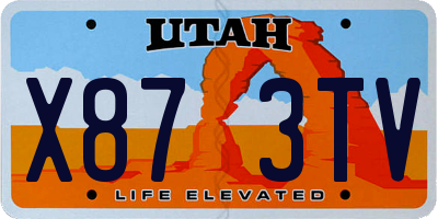 UT license plate X873TV