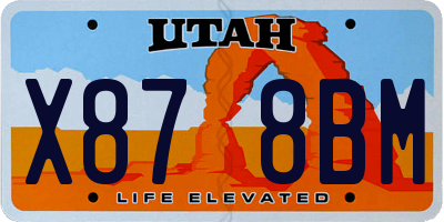 UT license plate X878BM
