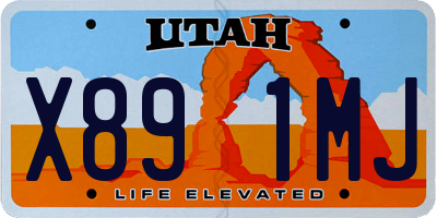 UT license plate X891MJ