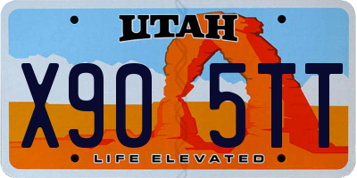 UT license plate X905TT