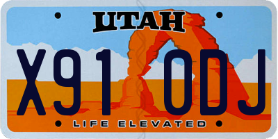 UT license plate X910DJ