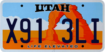 UT license plate X913LI