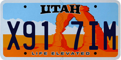 UT license plate X917IM